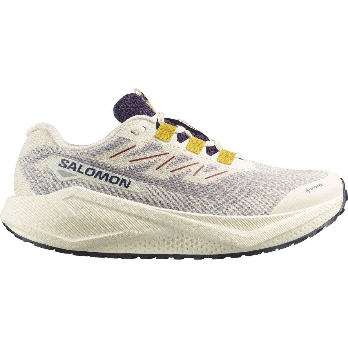 Salomon AERO BLAZE 3 GRVL GORE-TEX Gravel running shoes - Men