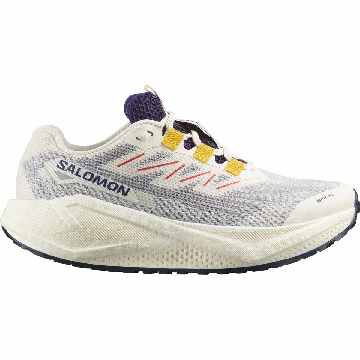 Salomon AERO BLAZE 3 GRVL GORE-TEX Gravel running shoes - Women