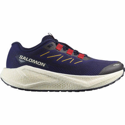 Salomon AERO BLAZE 3 GRVL Gravel running shoes - Women