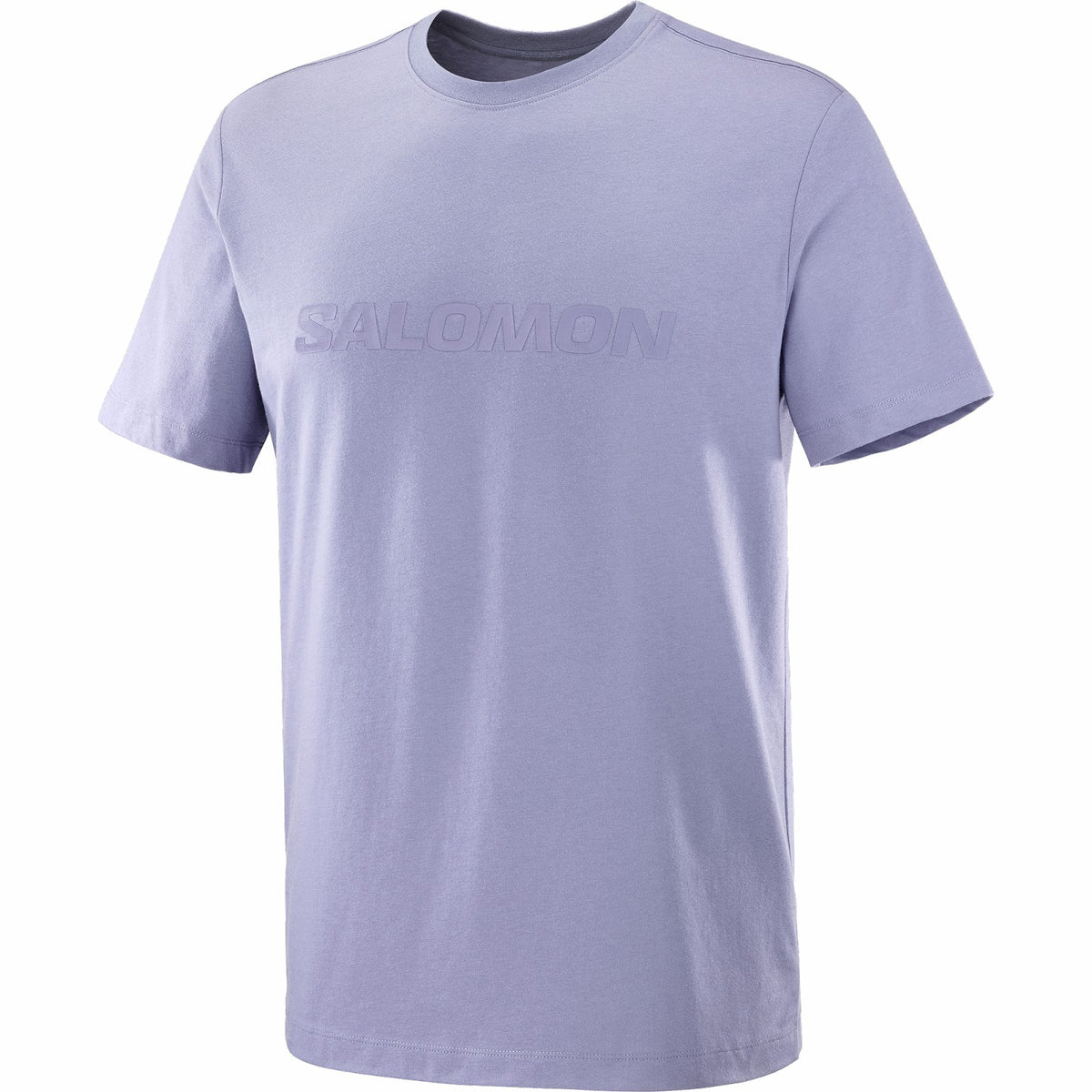 Salomon SALOMON LOGO Men's Short Sleeve T-Shirt