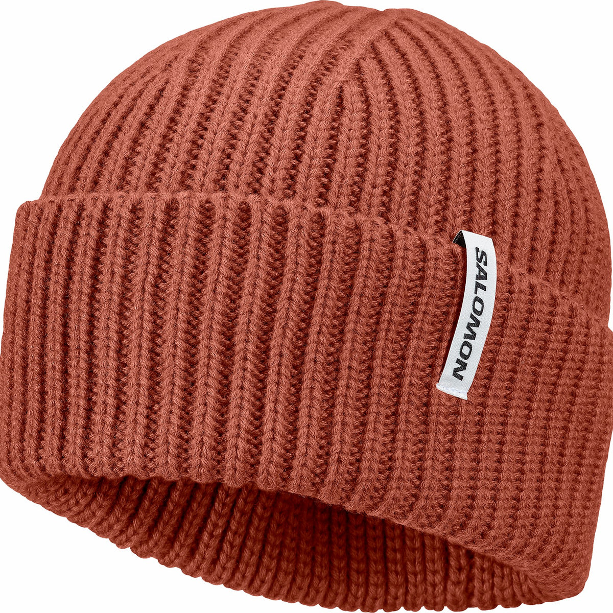 Salomon SNOWBIRD Unisex Beanie