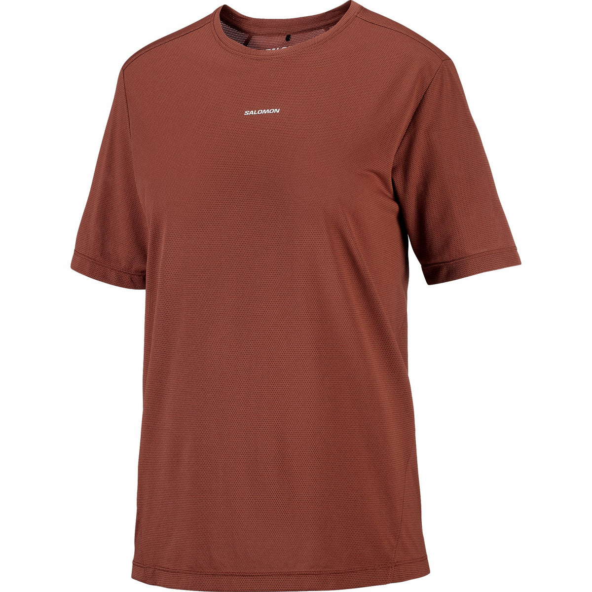 Salomon SHAKEout CORE Brown